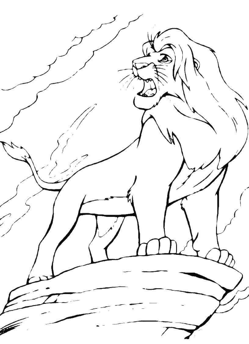 Название: Раскраска Король лев. Категория: Диснеевские мультфильмы. Теги: Дисней, Король Лев.
