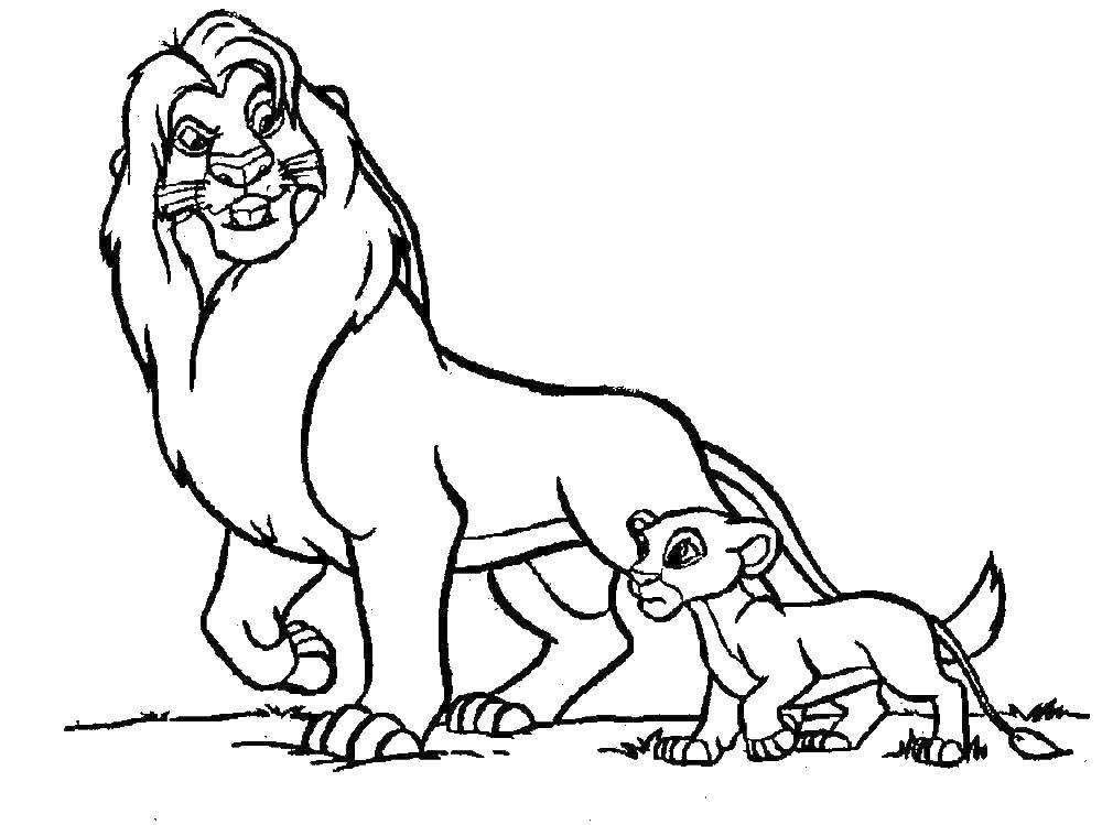 Coloring The lion king. Category Disney cartoons. Tags:  Disney, Lion King.