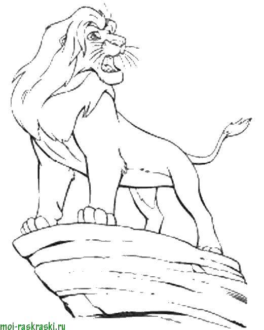Название: Раскраска Лев на скале. Категория: Персонаж из мультфильма. Теги: лев, скала.