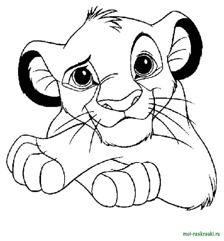 Название: Раскраска Львенок симба. Категория: Персонаж из мультфильма. Теги: львенок Симба, король лев.