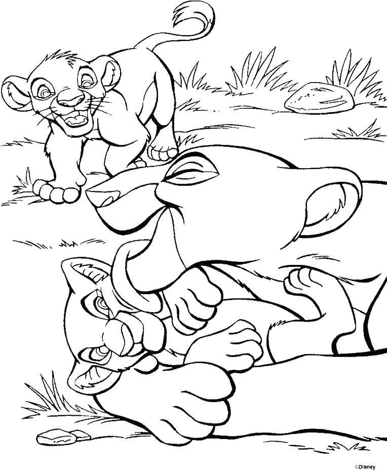 Coloring Cartoon the lion king. Category Disney cartoons. Tags:  Disney, Lion King.