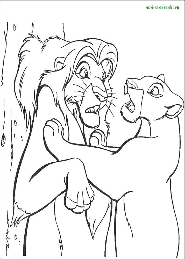 Название: Раскраска Симба и нила. Категория: Персонаж из мультфильма. Теги: лев Симба, львица Нила.