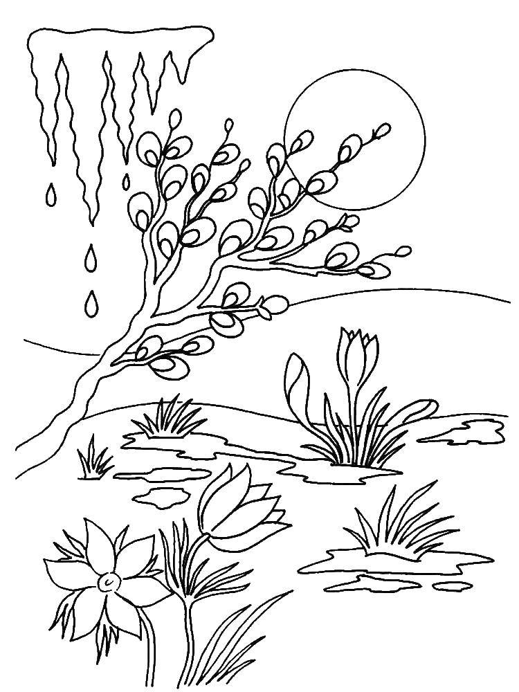 Coloring Pond with flowers. Category spring. Tags:  flowers, pond.