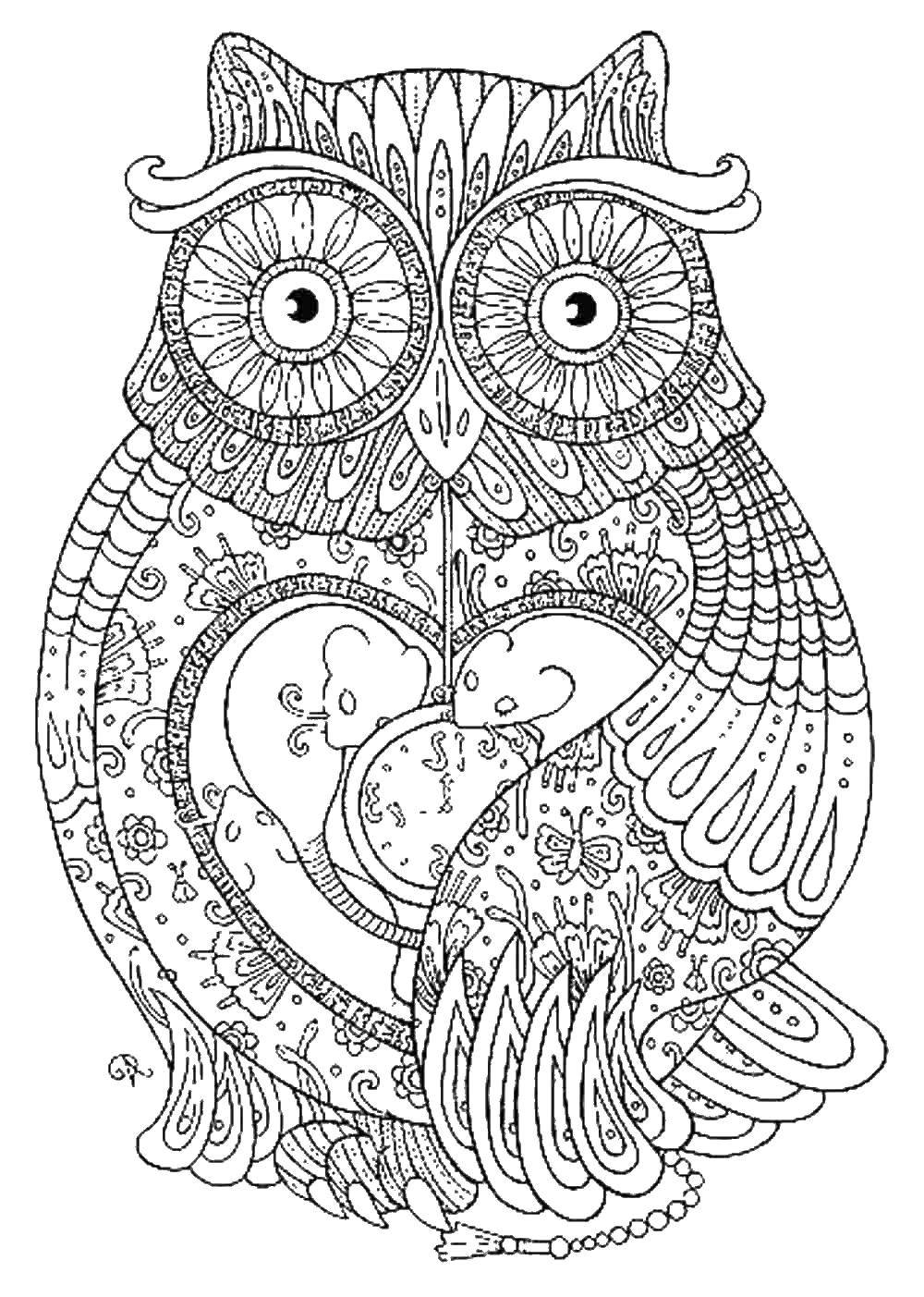 Coloring Owl. Category coloring antistress. Tags:  owl.