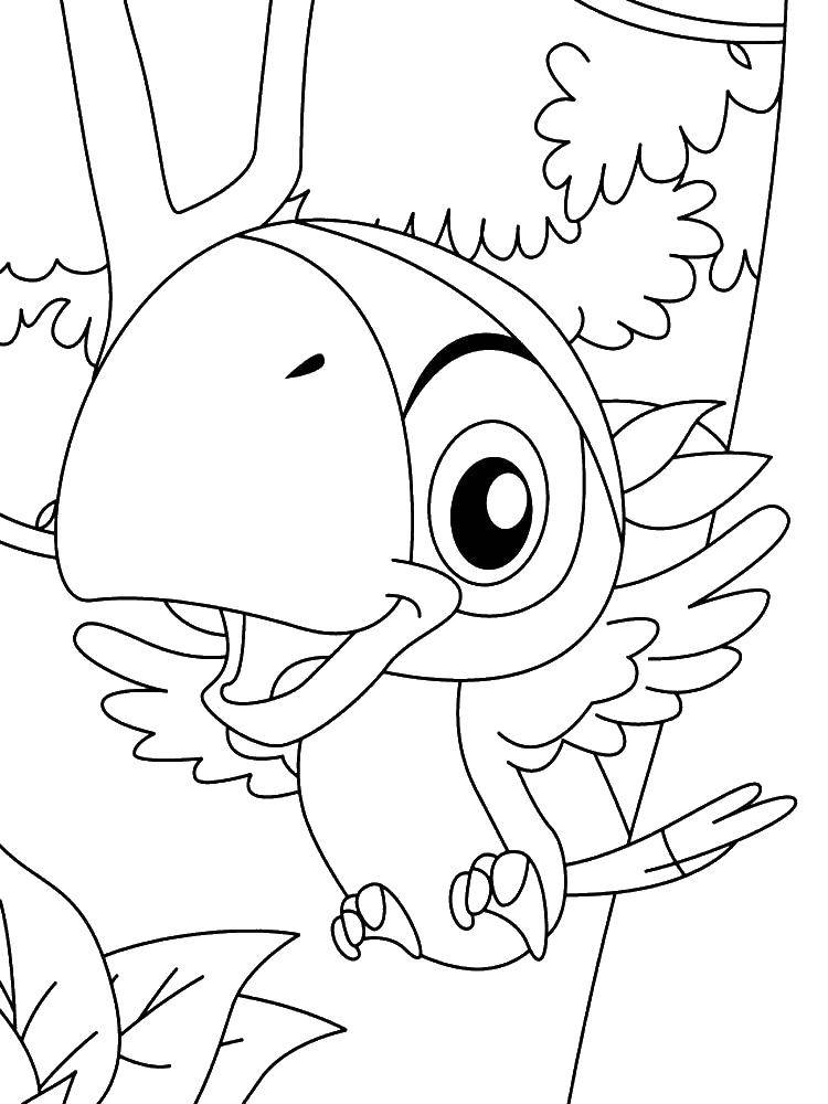 Coloring Parrot pirates. Category the pirates. Tags:  Pirate, sea, parrot.