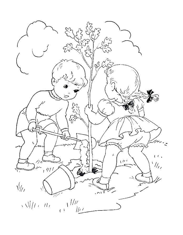 Название: Раскраска Дети сажают дерево. Категория: Люди. Теги: дети, дерево.