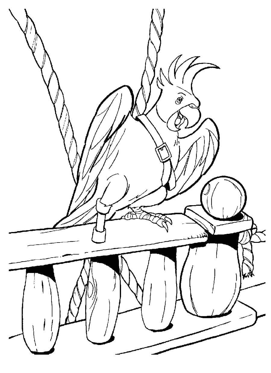 Название: Раскраска Пиратский попугай. Категория: Пираты. Теги: Пират, остров, сокровища, корабль, попугай.