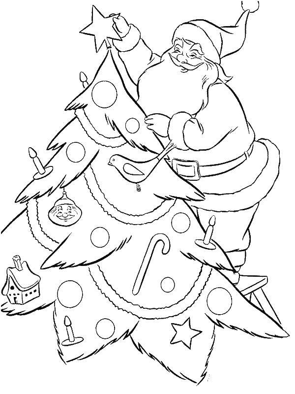 Название: Раскраска Санта украшает ёлочку. Категория: новый год. Теги: Новый Год, Дед Мороз, Санта Клаус, подарки.