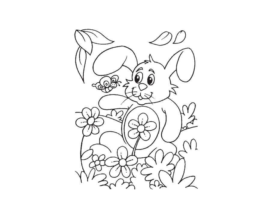 Название: Раскраска Зайчик играет с бабочкой. Категория: Животные. Теги: зайчик, цветы.
