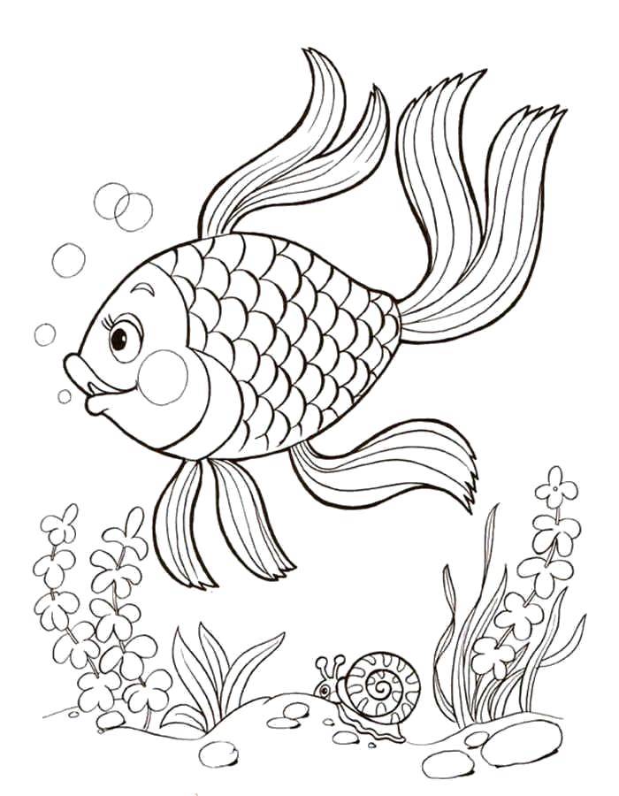 Название: Раскраска Золотая рыбка под водой. Категория: Персонажи из сказок. Теги: Сказки, Золотая рыбка.