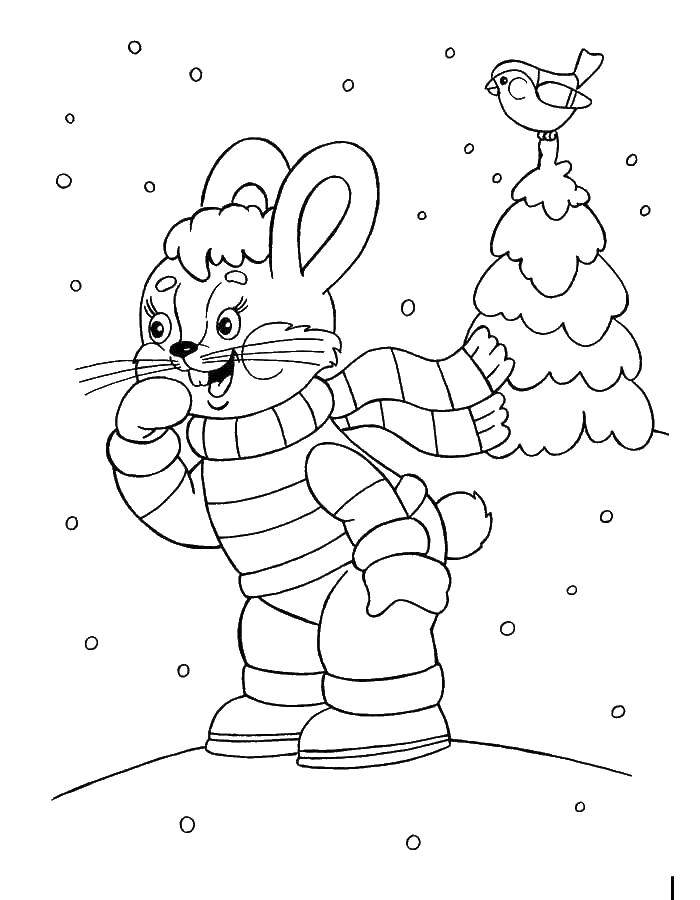 Название: Раскраска Зайчик в зимней сказке. Категория: зима. Теги: Зима, лес, зайчик.