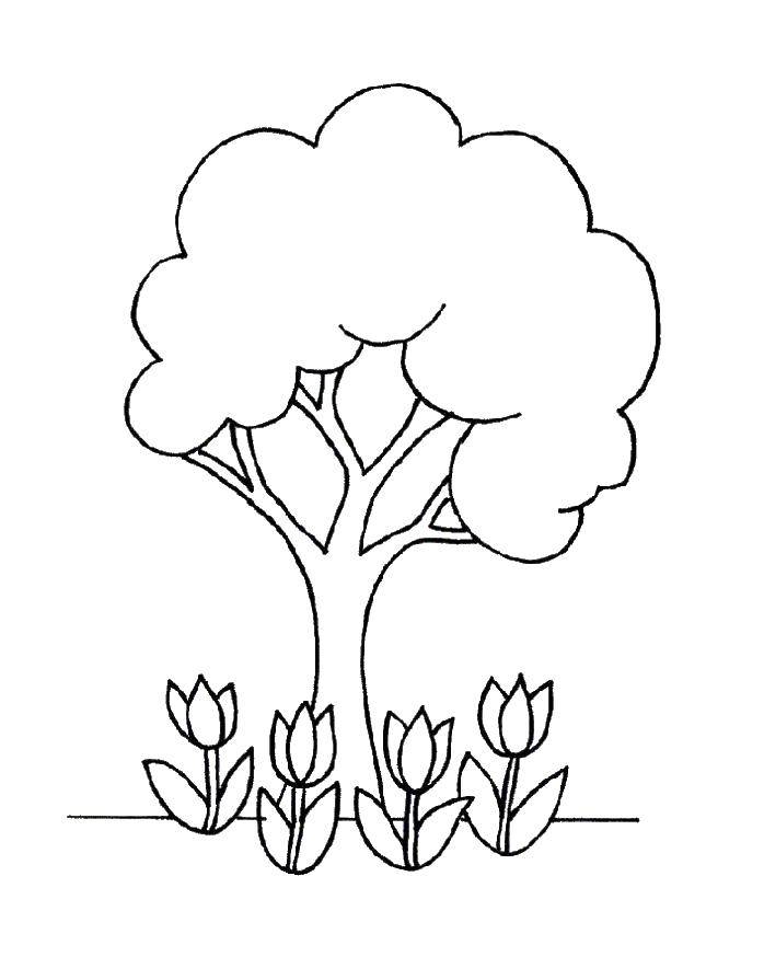 Coloring Tree with flowers. Category Nature. Tags:  tree, flowers.