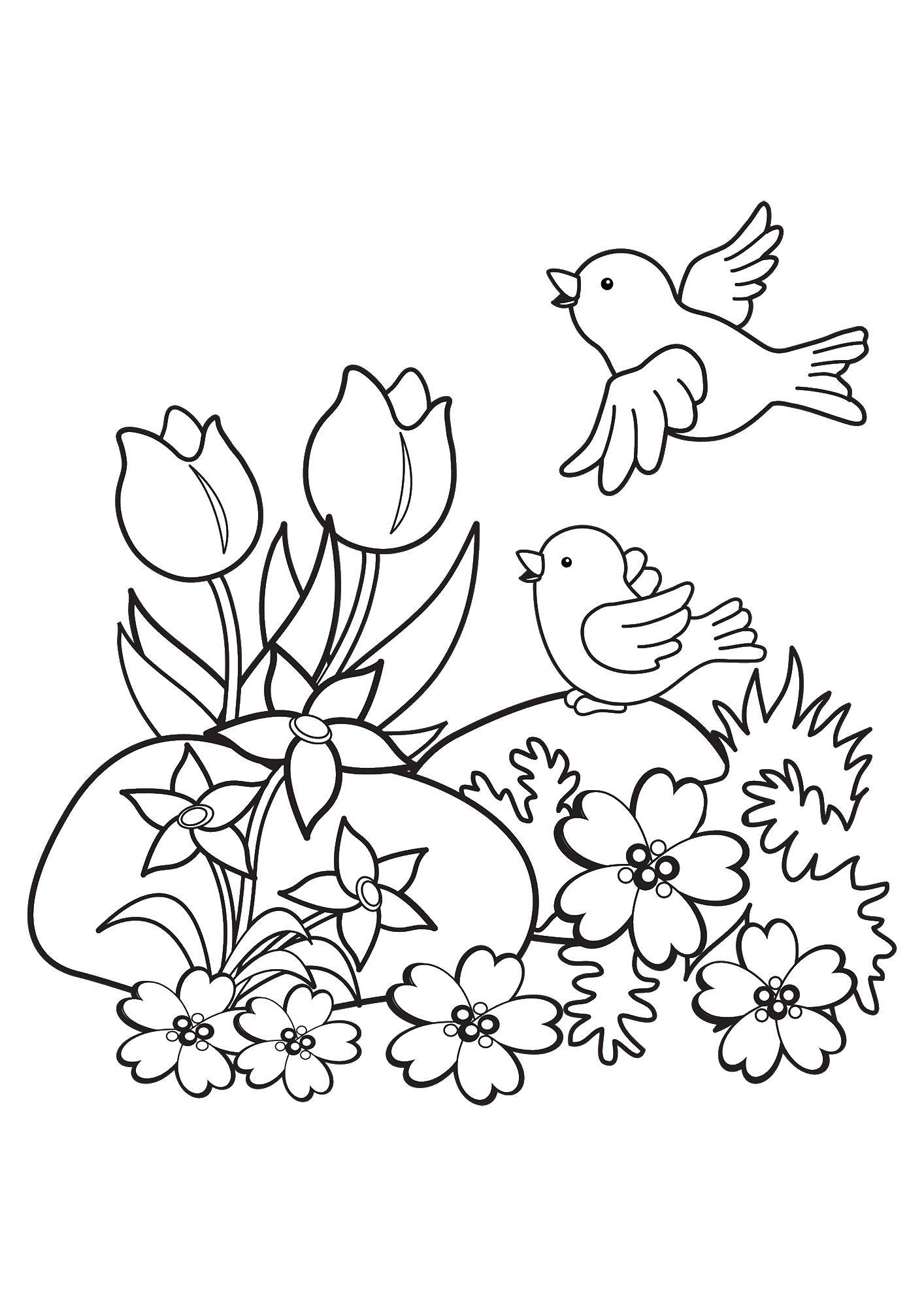 Название: Раскраска Птицы на поляне с цветами. Категория: Животные. Теги: цветы, птицы.