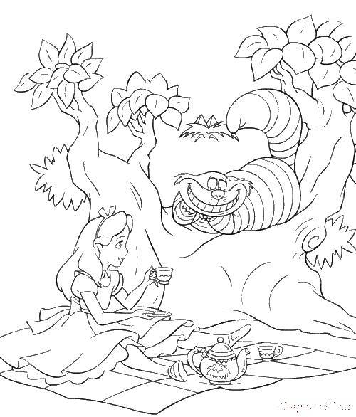Coloring Alice and the Cheshire cat. Category The characters from fairy tales. Tags:  Alice, cat, tea.