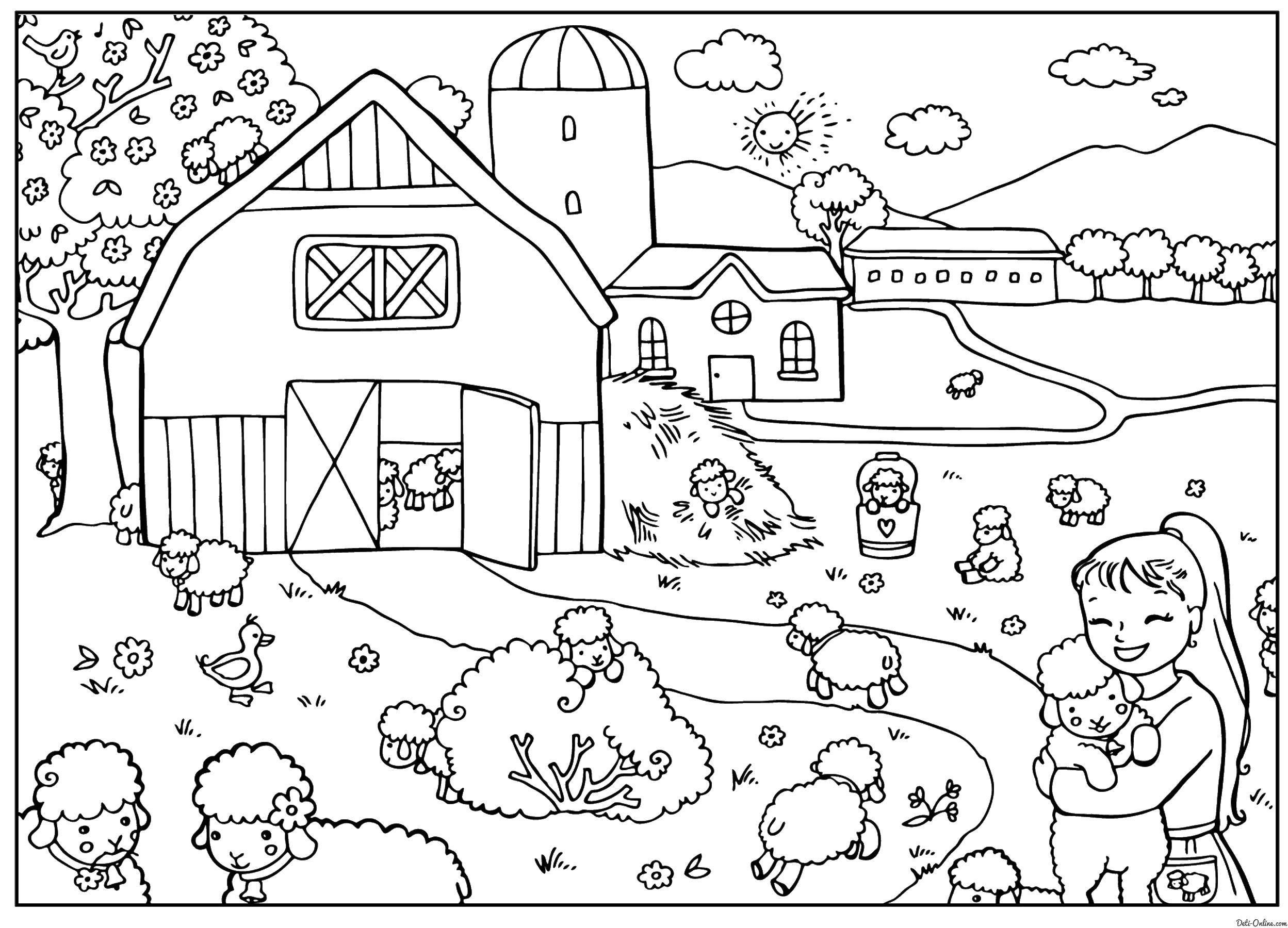 Coloring Farm with sheep. Category People. Tags:  sheep.