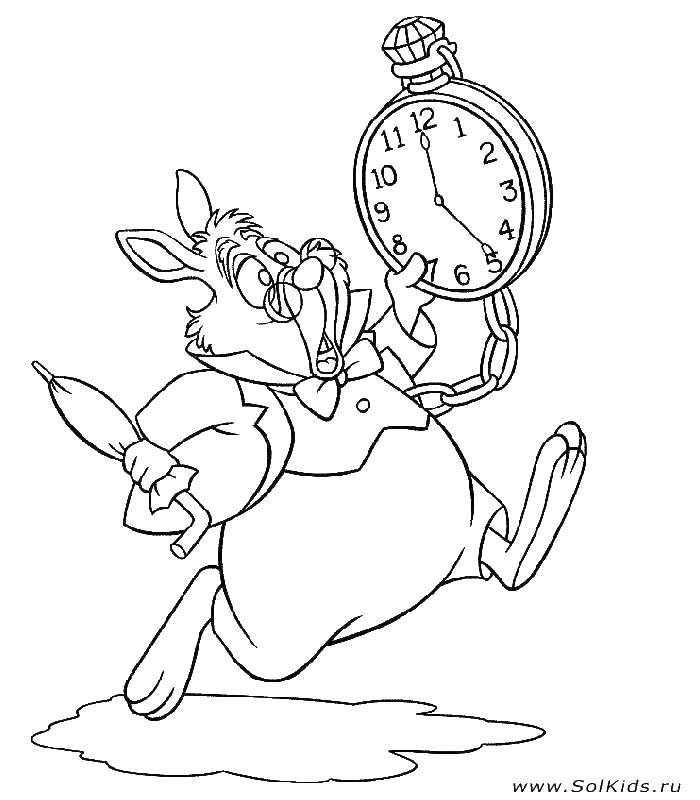 Название: Раскраска Кролик и часы. Категория: Персонажи из сказок. Теги: часы, кролик.