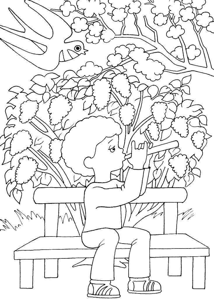 Coloring A boy sitting playing the flute. Category People. Tags:  boy, flute.