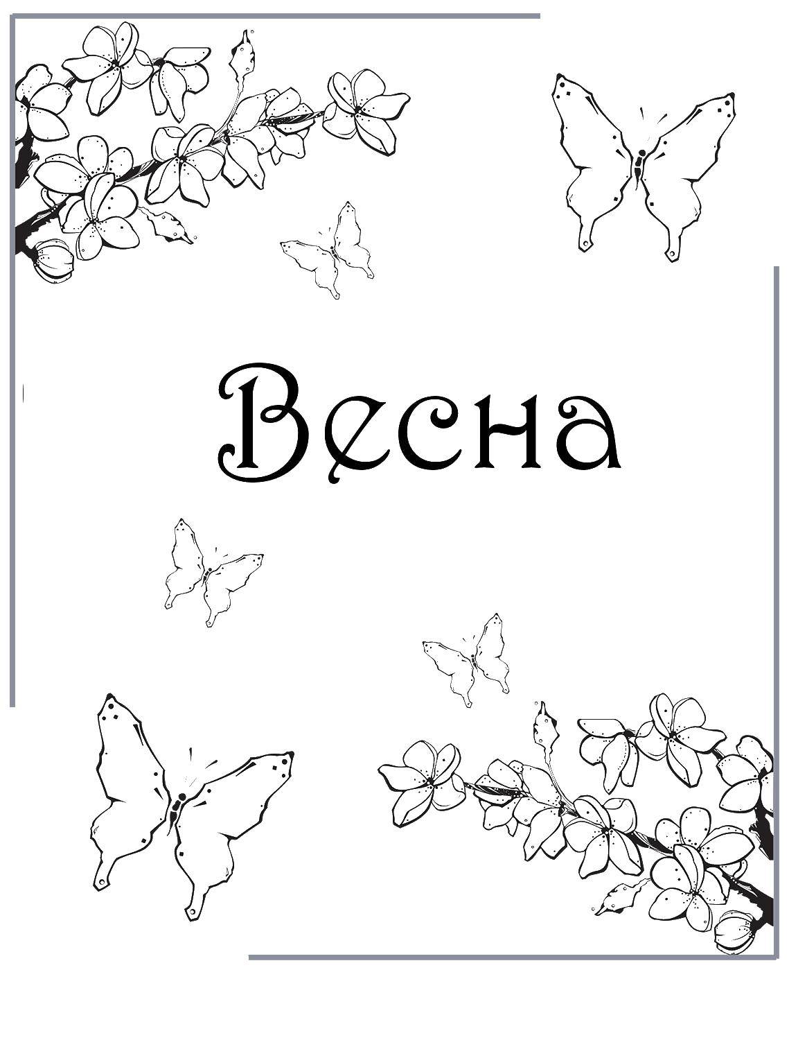 Название: Раскраска Открытка с бабочкой. Категория: весна. Теги: цветы, бабочка.