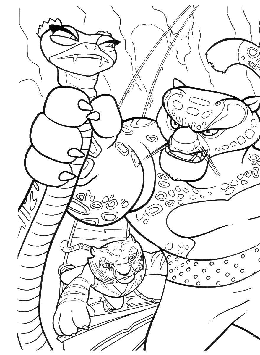 Название: Раскраска Тай лунг,гадюка,тигрица. Категория: Персонаж из мультфильма. Теги: тай лунг, гадюка, тигрица, кунг фу панда.
