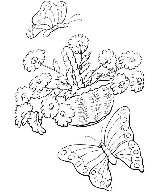 Название: Раскраска Бабочка с корзиной цветов. Категория: весна. Теги: цветы, бабочка.