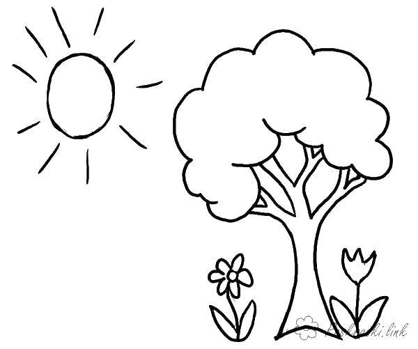 Название: Раскраска Солнце,дерева. Категория: погода. Теги: солнце, дерева.