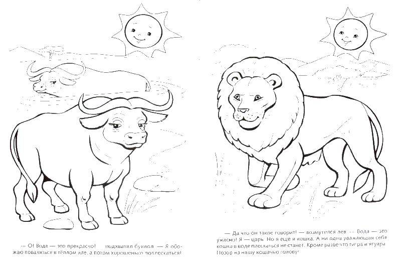 Название: Раскраска Бык и лев. Категория: Животные. Теги: бык, лев.