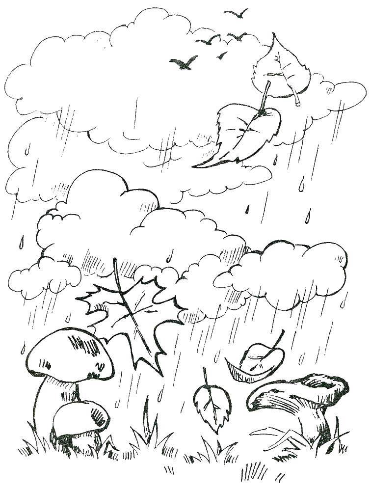 Название: Раскраска Дождь. Категория: погода. Теги: дождь, грибы, тучи.