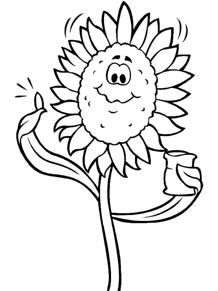 Coloring The sun in the sunflower. Category Coloring pages for kids. Tags:  sun, sunflower.