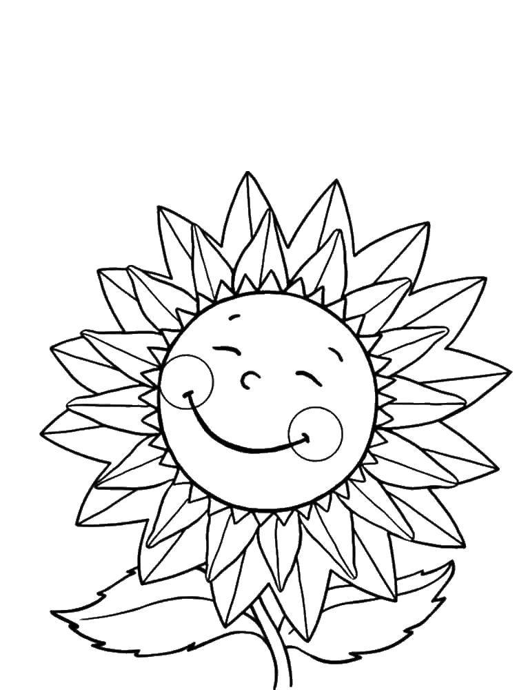 Coloring Smile sunflower. Category The plant. Tags:  sunflower.