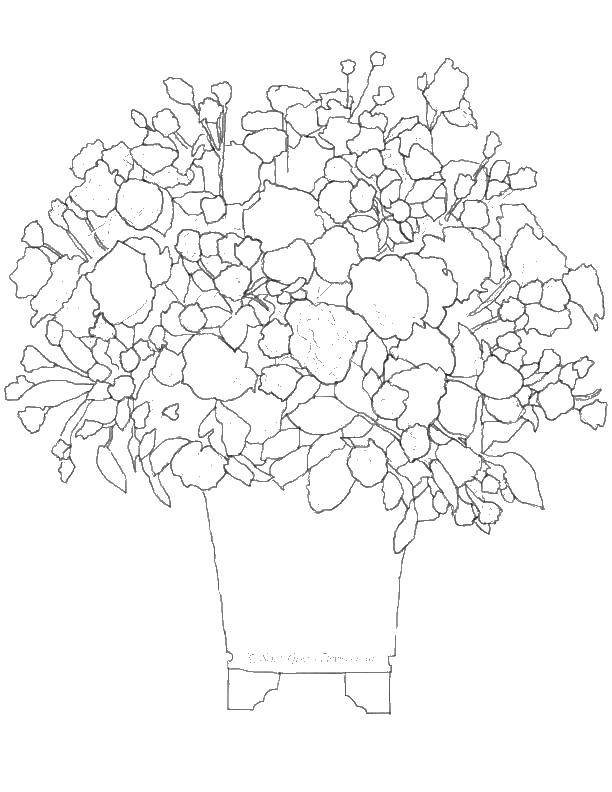 Coloring A pot of flowers. Category spring. Tags:  flowers.