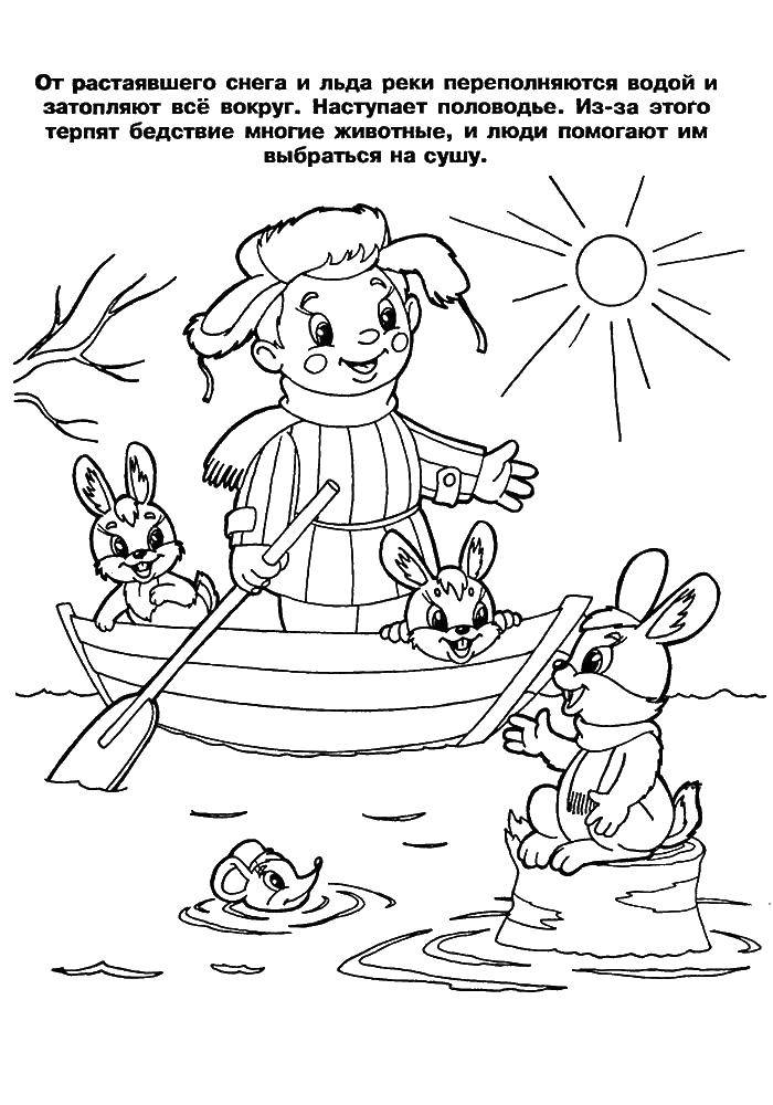 Название: Раскраска Мальчик на лодке спасает животных. Категория: Люди. Теги: заяц, кролик.