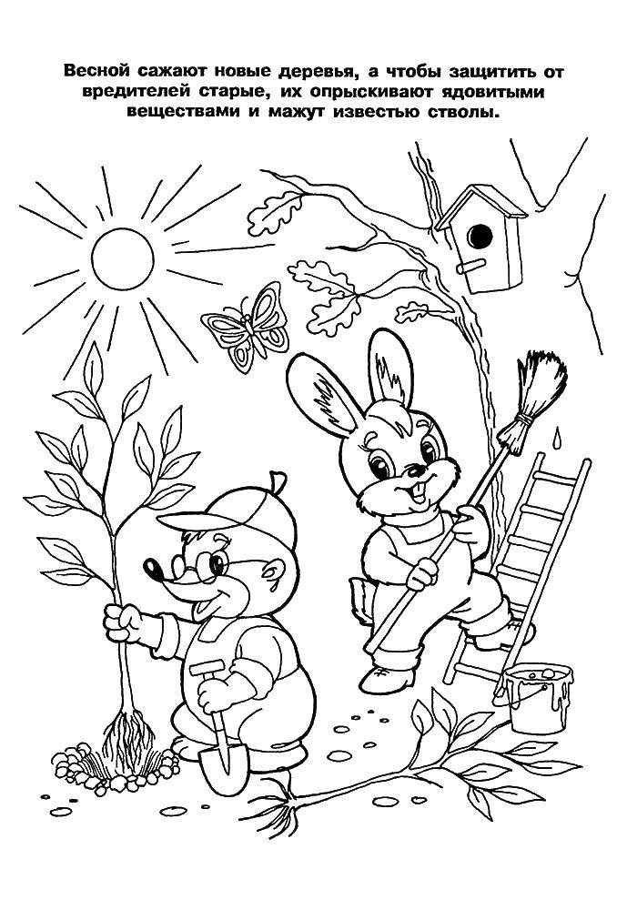 Coloring Animals plant trees. Category Animals. Tags:  hare, hedgehog, wood.