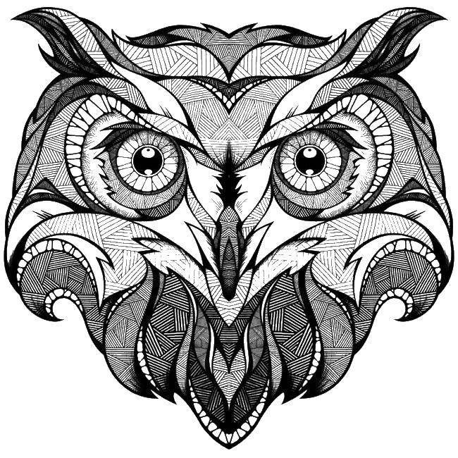 Coloring Ethnic owl. Category pattern . Tags:  Pattern, animals, owl.