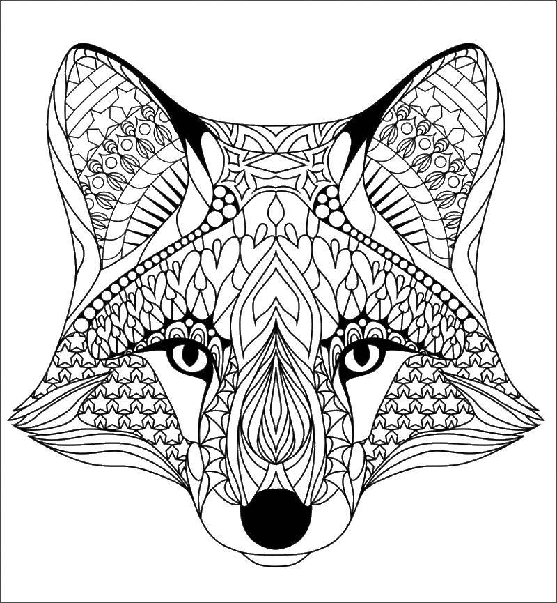 Coloring The head of a Fox. Category coloring antistress. Tags:  Fox.