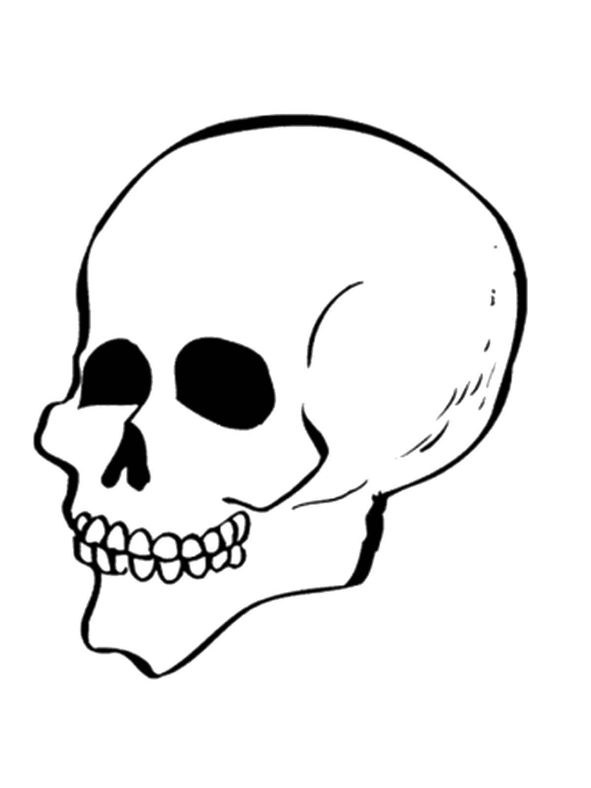 Coloring Skull. Category skull. Tags:  The body of a man , skull.