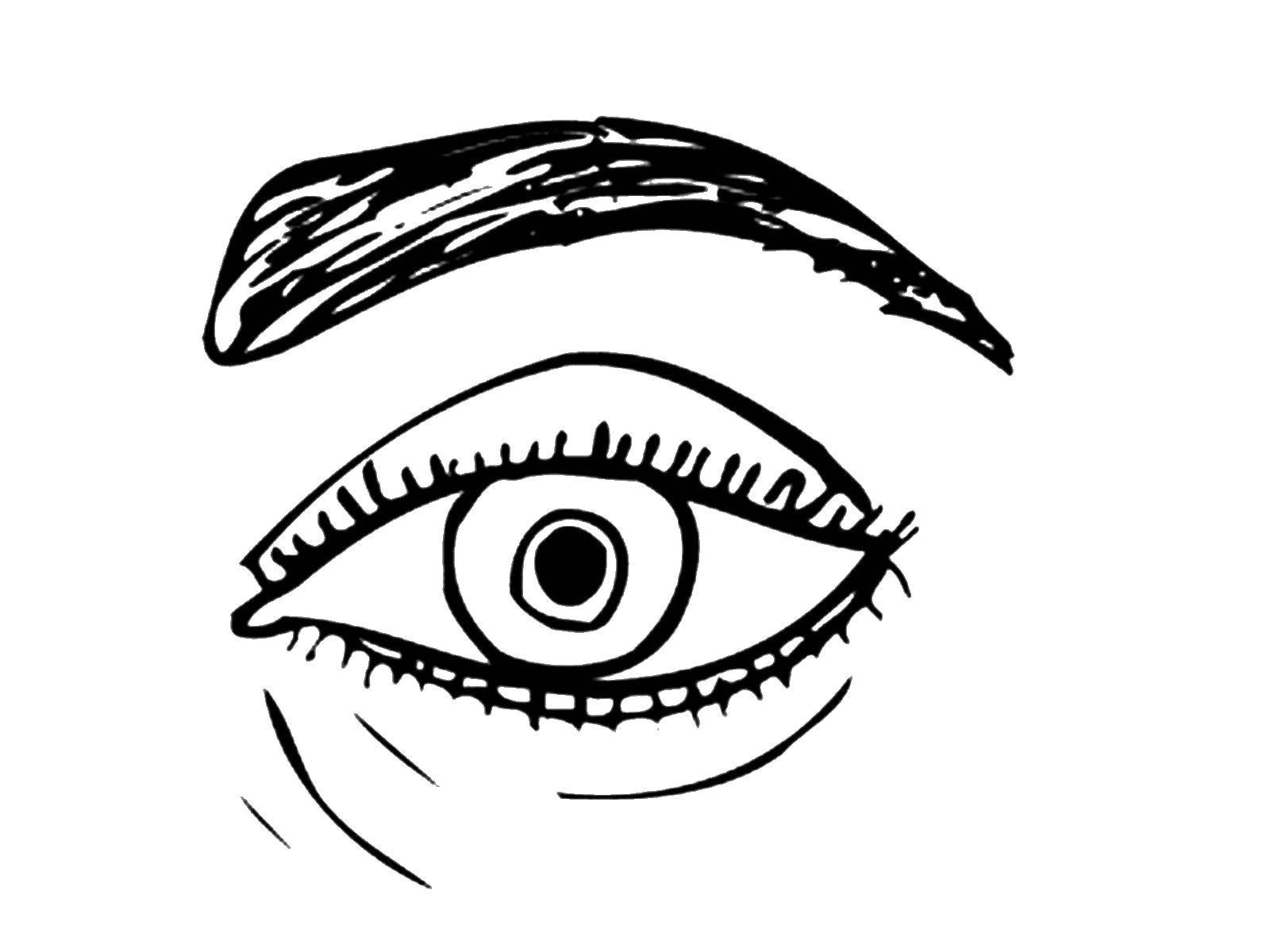 Coloring Eyes. Category The structure of the body. Tags:  Eyes.