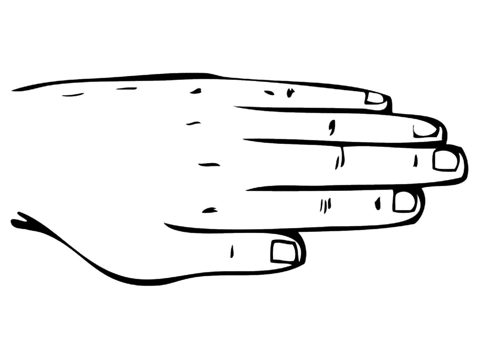 Coloring The hand. Category The structure of the body. Tags:  Hand, brush.