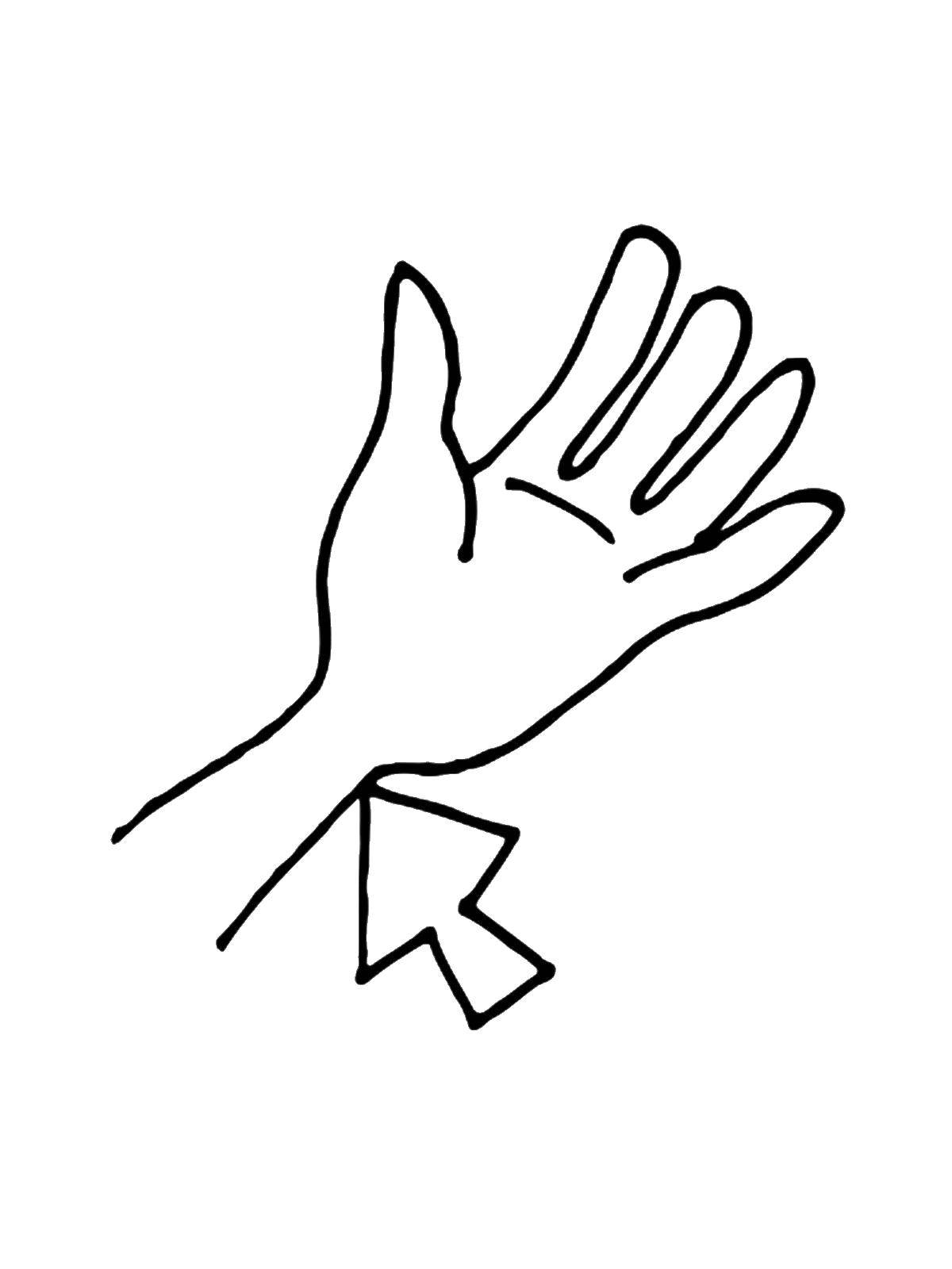 Название: Раскраска Кисть руки. Категория: Строение тела. Теги: Рука, кисть.