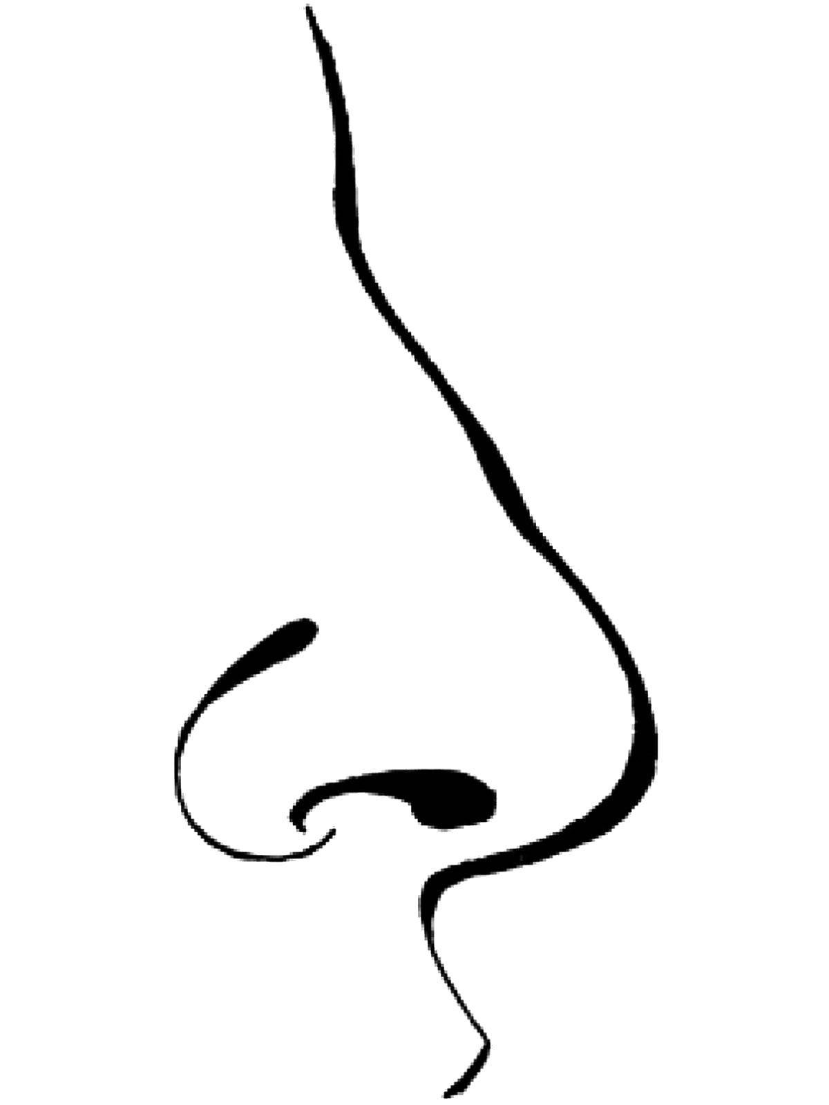 Название: Раскраска Нос. Категория: Строение тела. Теги: Нос.