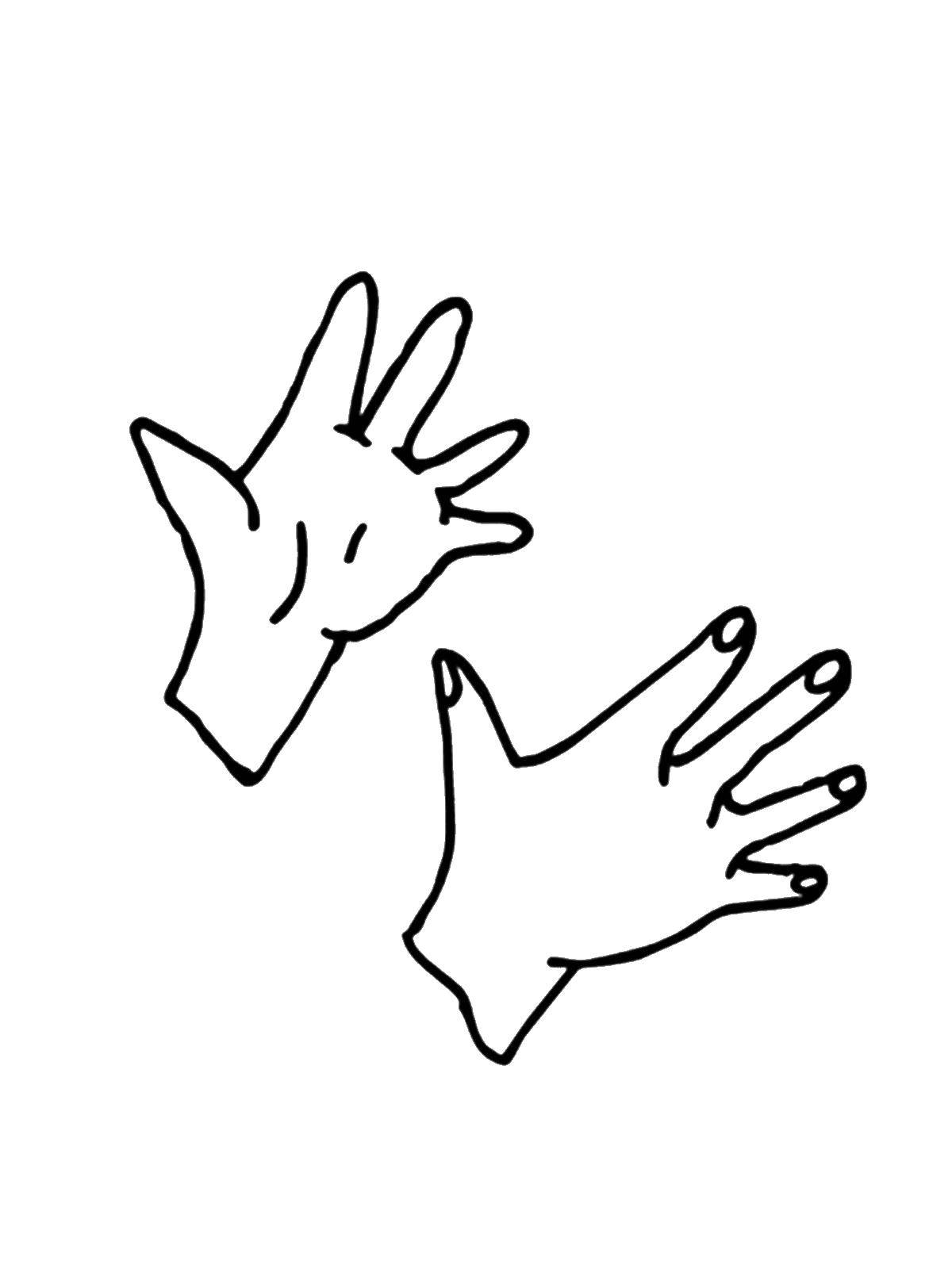 Coloring Hands. Category The structure of the body. Tags:  Hand.