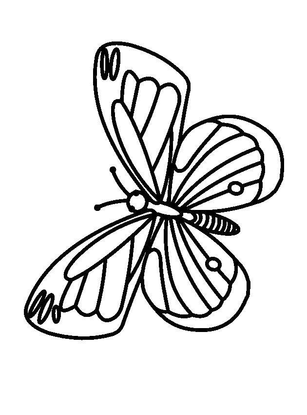 Название: Раскраска Бабочка. Категория: весна. Теги: бабочка.
