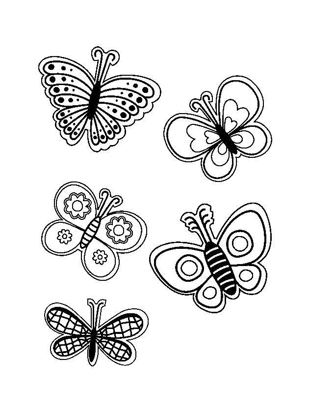 Название: Раскраска Бабочки летают. Категория: весна. Теги: бабочки.