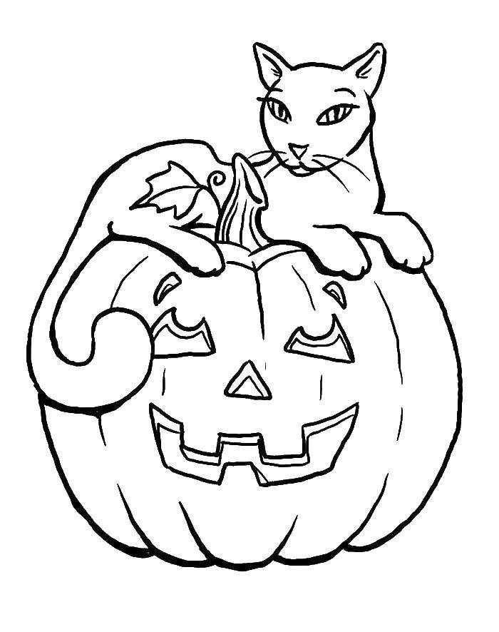 Название: Раскраска Кот на хэллоуинской тыкве. Категория: Хэллоуин. Теги: Хэллоуин, тыква, кот.