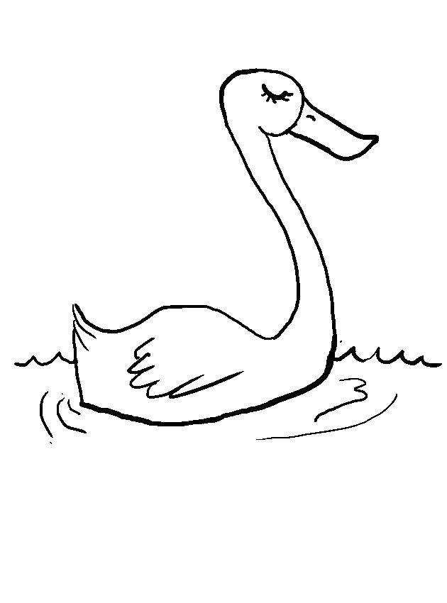 Название: Раскраска Лебедь. Категория: Животные. Теги: лебедь.