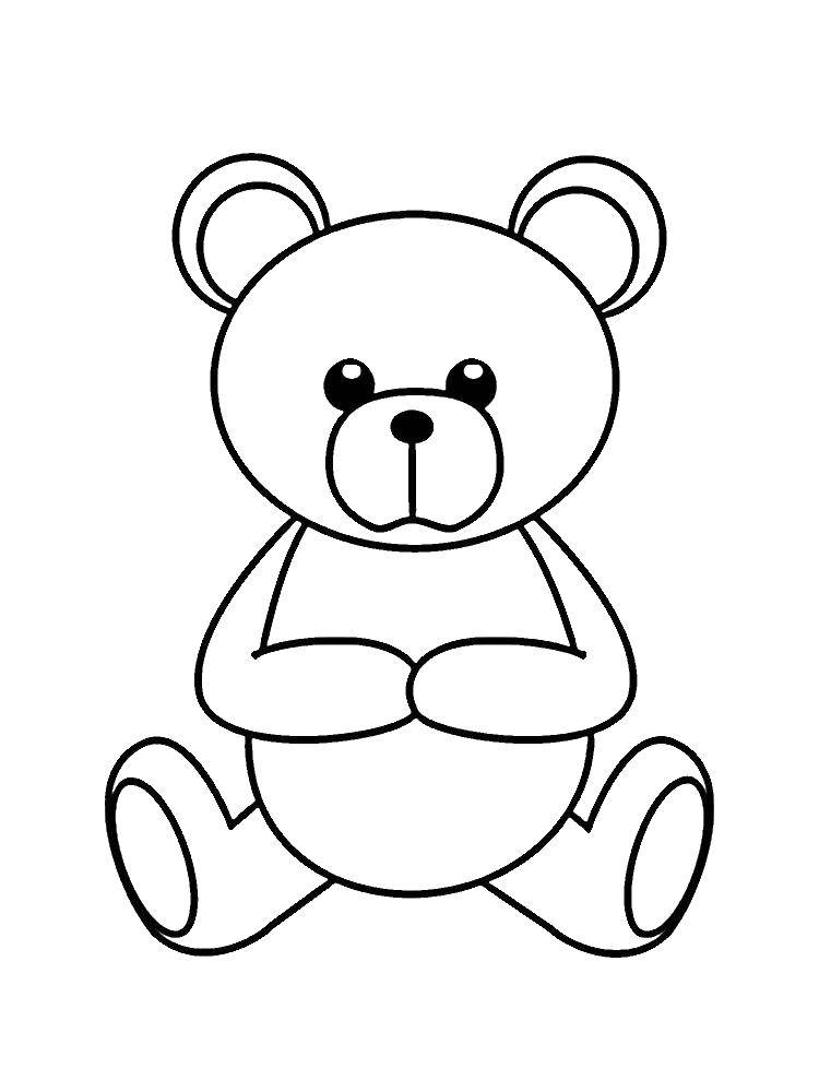 Coloring Bear. Category toys. Tags:  Toy, bear.