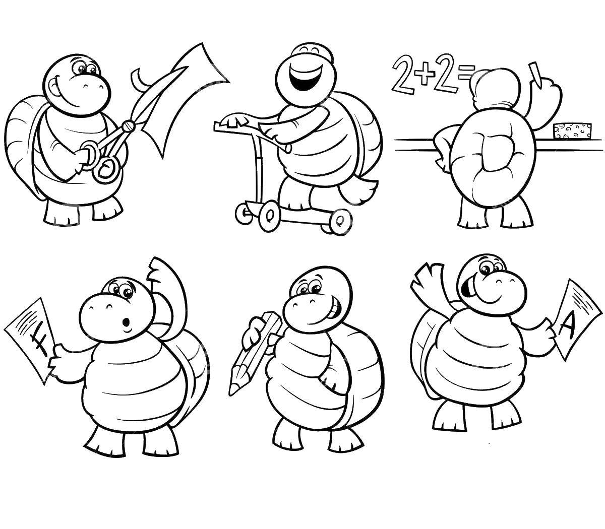 Coloring Turtles at school. Category school. Tags:  School, class, lesson, children.