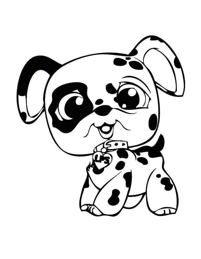Coloring Dalmatians. Category pet shop. Tags:  Pet shop, dog.