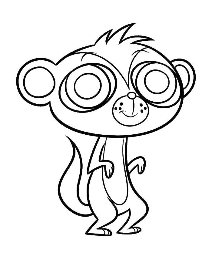 littlest pet shop monkey coloring pages