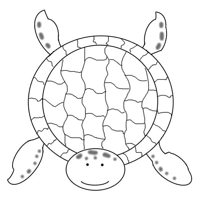 Название: Раскраска Морская черепашка. Категория: африка. Теги: Животные, черепаха.