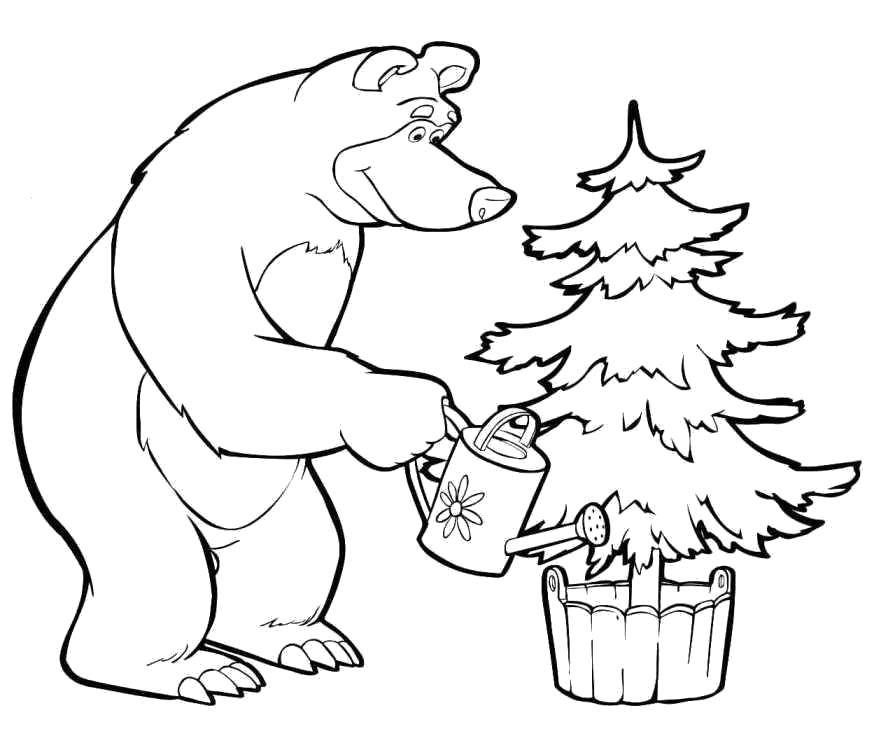 Coloring The bear from Masha and the bear watered the Christmas tree. Category Masha and the bear. Tags:  Cartoon character, Masha and the Bear.